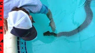 **PART 2** 15 FOOT PYTHON in FLORIDA POOL Meets PYTHON COWBOY!