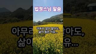 아무리 많이 알아도 삶이 힘든 이유 #법정스님명언 #명언