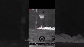 Hog Hunt Drop Shot with Thermal  #hunting #hoghunt #boarhunting #hoghunting #predatorhunting