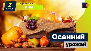 Осенний урожай. Окружающий нас мир