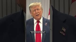 Trump on ICE deportations in Democratic-led sanctuary cities like New York