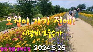 [경남 함안] #악양 생태공원 이곳은 꼭 가보세요