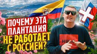 Маленькая плантация на высоте 3120 м над уровнем моря | Плантация LLadeal | Эквадор