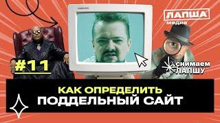 Сайты мошенников: Как отличить подделку и не потерять деньги. Знает Александр Пушной | Лапша Медиа