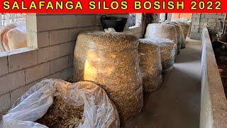 SALAFANGA SILOS BOSISHNI ORGANIB OLAMIZ ️ +998 93-642