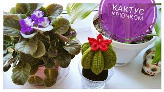 ЦВЕТУЩИЙ КАКТУС КРЮЧКОМ Crochet cactus