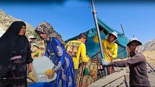 Preparing the Fariba's tent in the nomadic camp