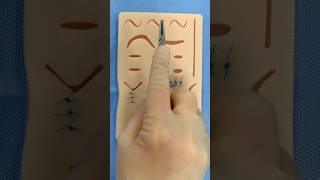 Simple Interrupted Suture Tutorial #goodtoknow #suturing #surgeonlife #vet #medicine #surgery