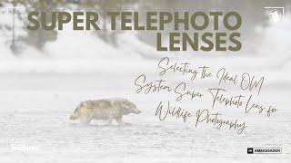 Selecting the Ideal OM System Super Telephoto Lens for Wildlife Photography