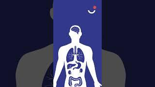  What are the symptoms of Acute Myeloid Leukemia (AML)?