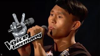 Talking to the Moon - Bruno Mars | Dehua Hu Cover | The Voice of Germany 2016 | Audition