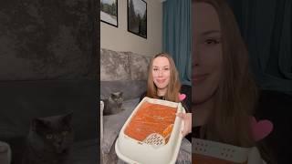 Кошачий лоток с косметикой KICA  Такое мы ещё не обозревали!!