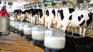 Modern Cow Dairy Farming - Cow Milking Technology Machine - Smart Dairy Farm