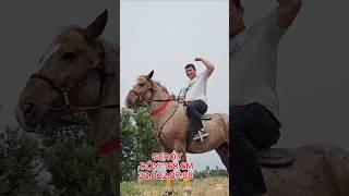 ОТ СОТИЛАДИ #ot #horse #лошадки