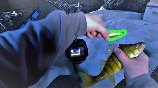 Slab Grabber Nails PERCH! Bobber Fishing Evening Walleye!!