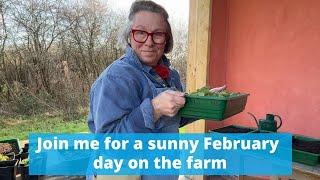 What are we doing on the flower farm this sunny February day?