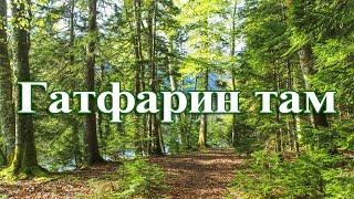 Седакъет Керимова. Гатфарин там