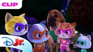 Dinosaur Bones  | SuperKitties ⭐ | Disney Jr. MENA