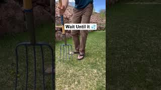 Try this for Greener Lawn