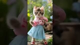 cat lover Minhaz | cute cat dance #cute #dance #0266