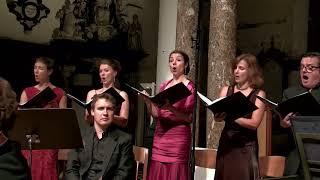 Cum Sancto Spiritu - Faber - Missa Maria Assumpta - Vlad Weverbergh Terra Nova Collective