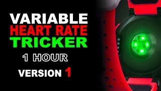 Variable Real Like Heart Rate | Fool a Heart Rate Monitor | 1 HOUR of TRIXTER