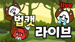 법캣 라이브 방송!!!