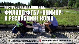 Филиал ФГБУ "ВНИИКР" в Республике Коми. Инструкция для клиента