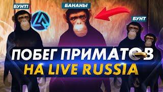 ОБНОВА СБЕЖАЛ ИЗ ЗООПАРКА на LIVE RUSSIA (CRMP MOBILE ANDROID)