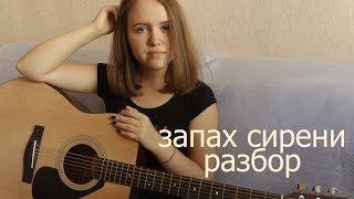 ПОШЛАЯ МОЛЛИ - Lin Ansty/запах сирени (разбор)