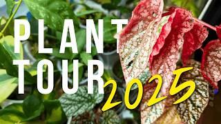 Rare Plant Tour 2025 | 200+ Houseplants