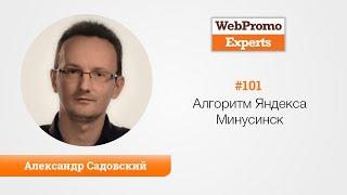 Новый алгоритм Яндекса Минусинск. Александр Садовский. TV #101