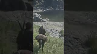 WTF just happened  | Red Dead Redemption 2