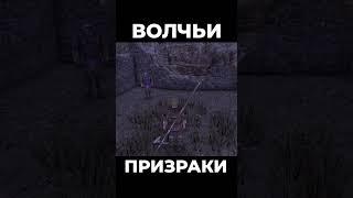 Хроники Миртаны: Архолос  Волчьи призраки #shorts #gothic2 #готика2 #архолос #archolos