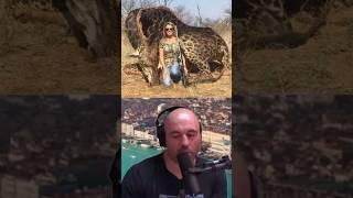 Joe Rogan's Wild Reaction to a Lady Hunting a Giraffe! 