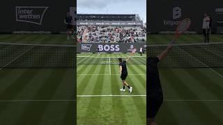 Taylor Fritz one handed backhand is good! (Practice at the Boss Open Stuttgart) #tennis