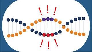 NIH Common Fund's Somatic Mosaicism across Human Tissues (SMaHT) Network