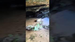 What's inside Cave Bunker Mayakoba Golf Course!