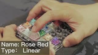 Erfahren Sie mehr über alle Akko-Switches in 1 Minute