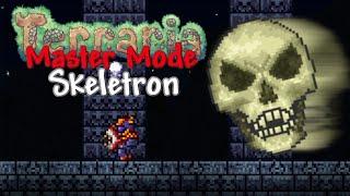 How To Defeat Skeletron In Terraria Master Mode