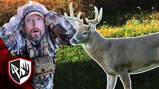 OLD PA BUCK DOWN! Bowhunting an October Cold Front