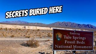 Tule Springs Fossil Beds Durango: Unearthing Las Vegas' Past