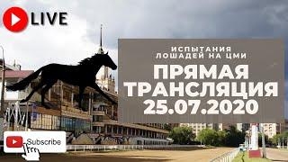 25.07.2020. Прямая трансляция с ЦМИ. ОКС и другие призы.