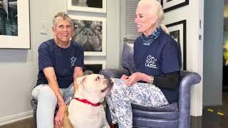 Benefits of Fostering from LA Animal Services