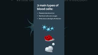 What is AML Acute Myeloid Leukemia? #AML