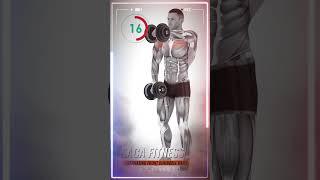 Alternating Dumbbell Front Raises | Effective Shoulder Exercise