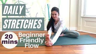 DAILY STRETCHES - 20 min beginner-friendly yoga flow // Open most angles. Start your day right!