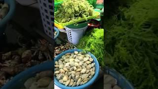 Seafood | Seashells | Seaweeds