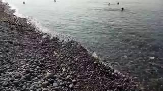 Море в Адлере. Пляж Олимпийского парка.