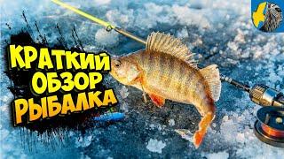 FISHER ONLINE обзор симулятора рыбалки